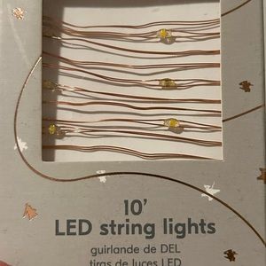 10 ft. LED warm white string lights